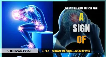 All Over Muscle Pain: Causes, Symptoms, and When to Seek Help