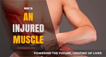 Muscle Injuries: Understanding the Pain and Healing Process