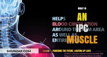 The Secret to Unlocking Your IPC Muscle's Full Potential