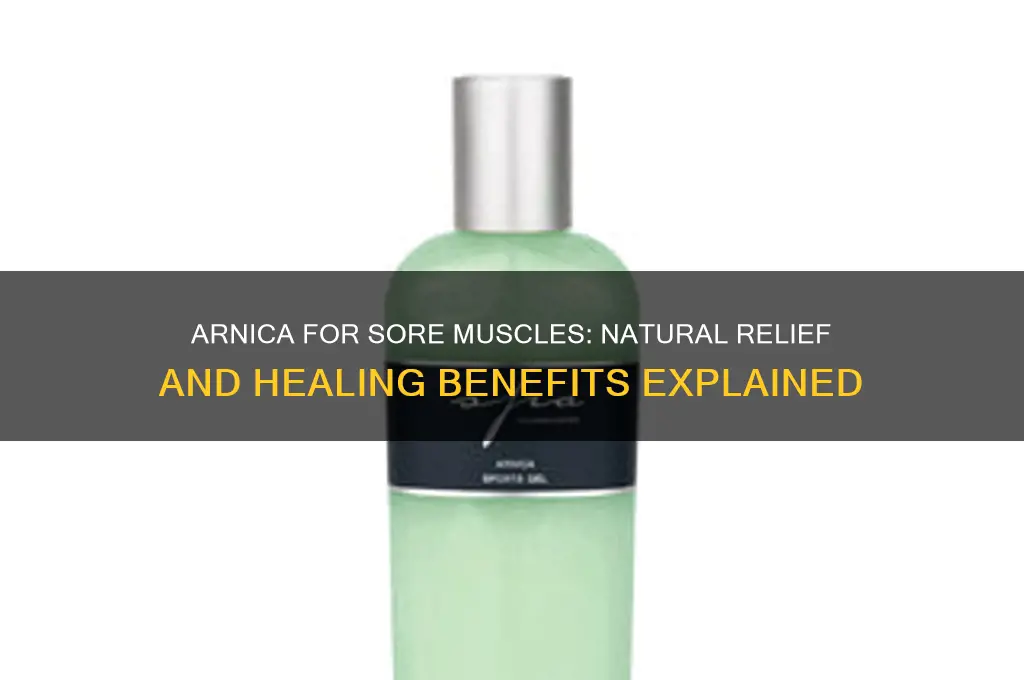 what is arnica ffaor sore muscles