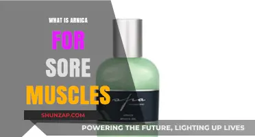 Arnica for Sore Muscles: Natural Relief and Healing Benefits
