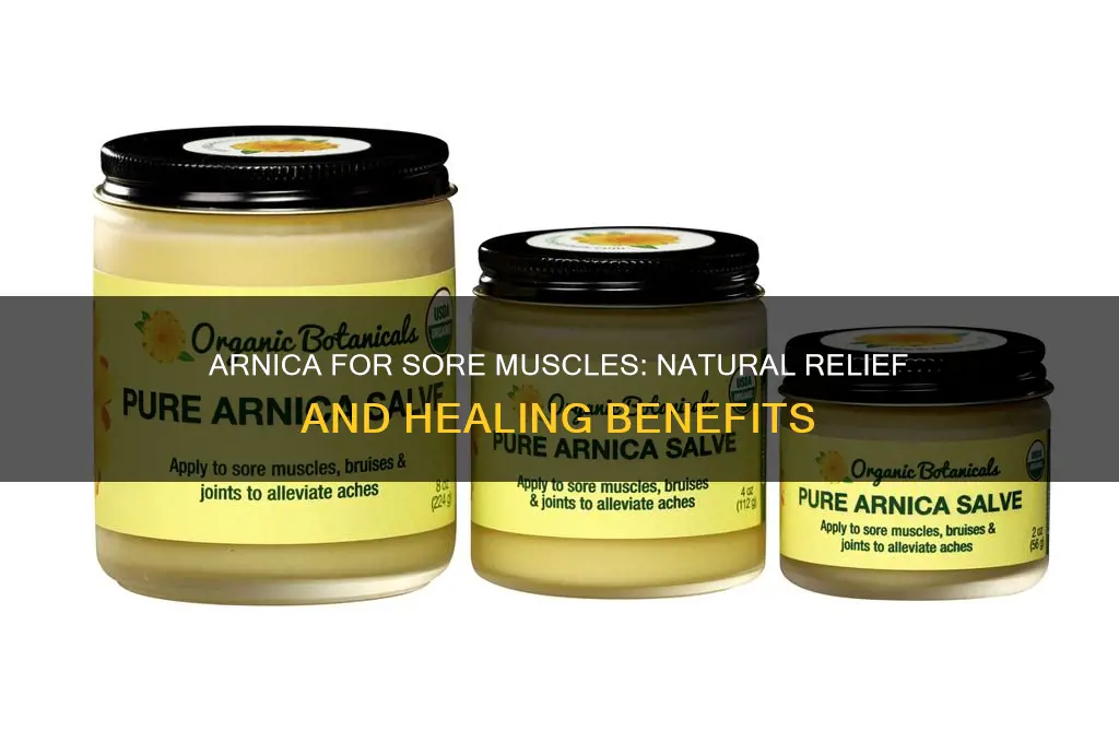 what is arnica for sore muscles