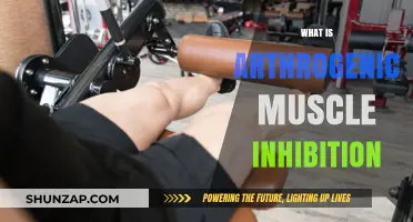 Understanding Arthrogenic Muscle Inhibition and Its Impact