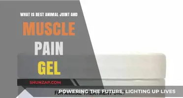 Top Animal Joint and Muscle Pain Relief Gels Reviewed