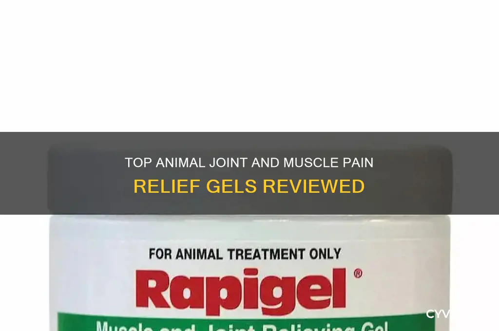 what is best animal joint and muscle pain gel