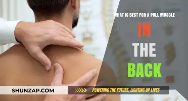 Effective Remedies for Healing a Pulled Back Muscle Quickly and Safely