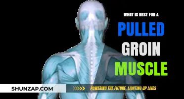 Effective Pulled Groin Muscle Recovery: Best Treatments and Healing Tips