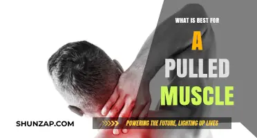 Effective Remedies for Pulled Muscles: Healing and Recovery Tips