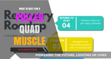 Effective Pulled Quad Muscle Recovery: Top Tips and Treatments