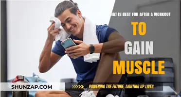 Post-Workout Muscle Growth: Optimal Strategies for Recovery and Results