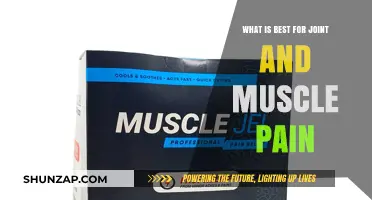 Effective Remedies for Joint and Muscle Pain Relief: What Works Best?
