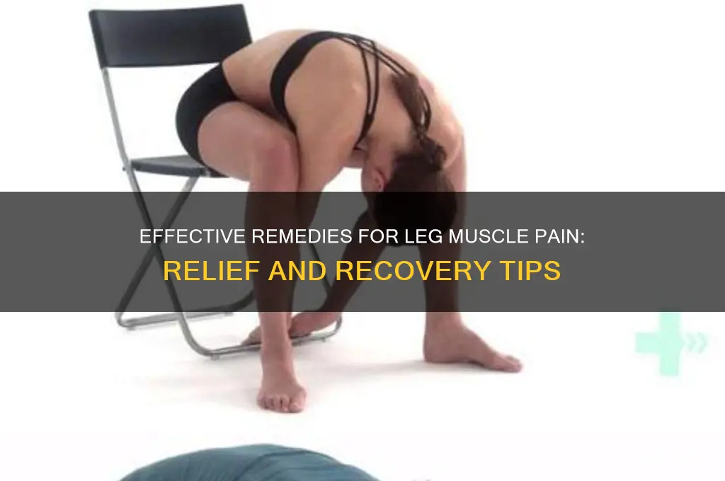 what is best for leg muscle pain