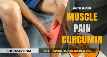 Curcumin for Muscle Pain: Natural Relief and Recovery Benefits