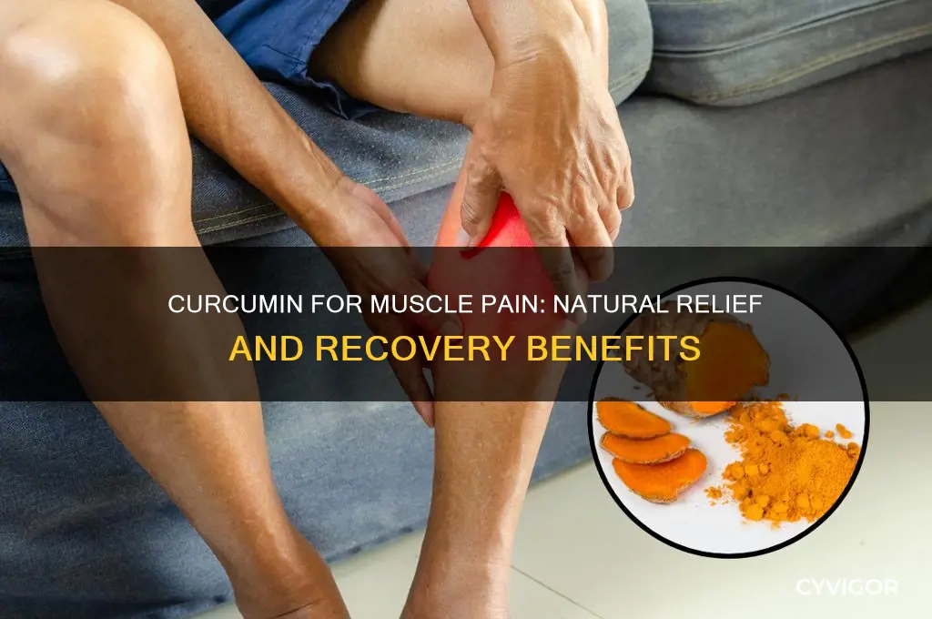 what is best for muscle pain curcumin