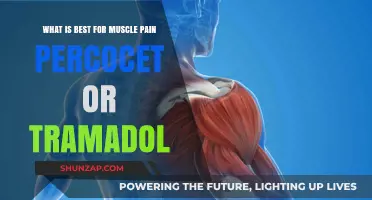 Percocet vs. Tramadol: Which is Best for Muscle Pain Relief?