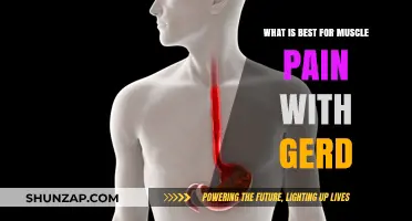 Effective Muscle Pain Relief Strategies for GERD Sufferers