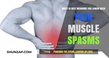 Effective Remedies for Lower Back Pain Muscle Spasms Relief