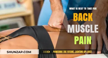 Effective Remedies for Back Muscle Pain: What Works Best?