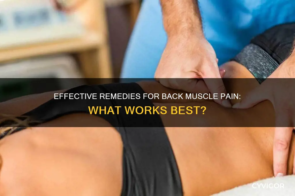 what is best to take for back muscle pain