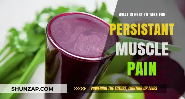 Effective Remedies for Persistent Muscle Pain: What Works Best?