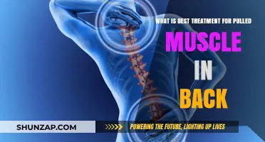 Effective Pulled Back Muscle Treatment: Relief, Recovery, and Prevention Tips