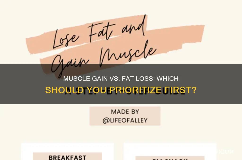 what is better first gaining muscles or loosing fat