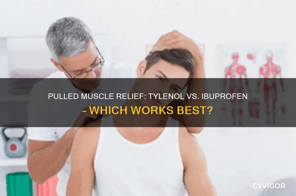 what is better for a pulled muscle tylenol or ibuprofen