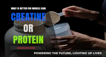 Creatine vs. Protein: Which Boosts Muscle Gain More Effectively?