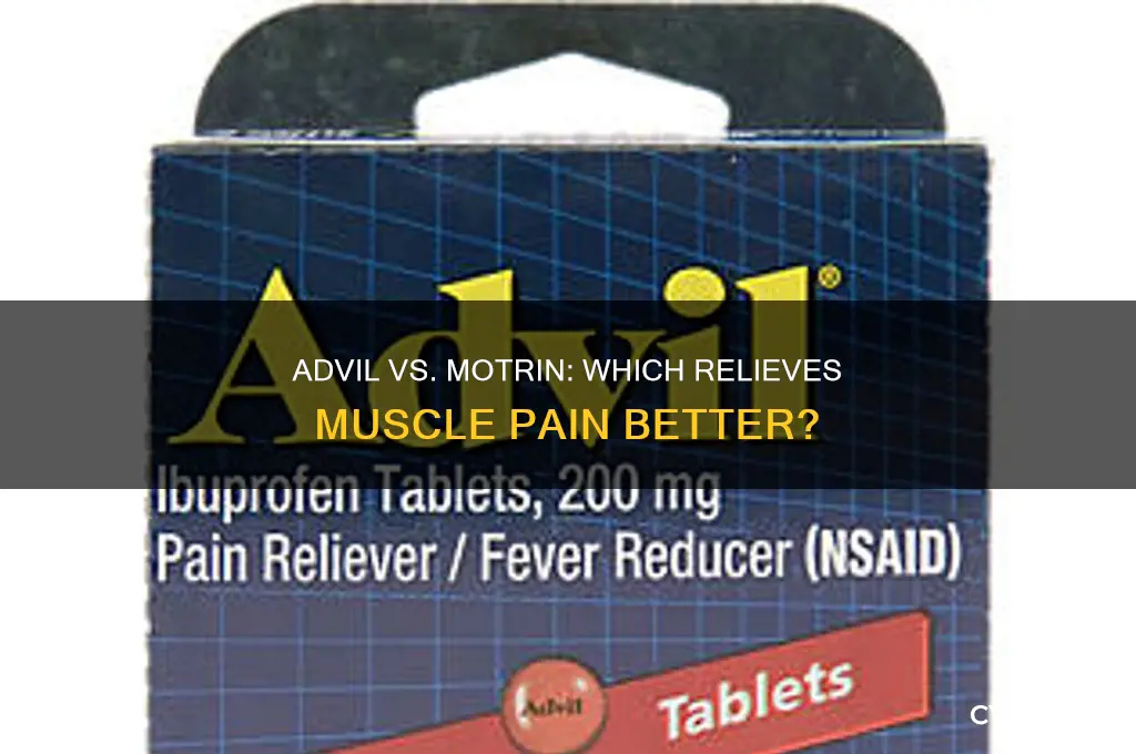 what is better for muscle pain advil or motrin