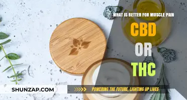 CBD vs. THC: Which Relieves Muscle Pain Better?