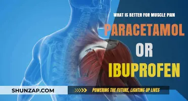 Paracetamol vs. Ibuprofen: Which Relieves Muscle Pain Better?