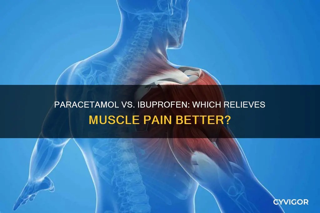 what is better for muscle pain paracetamol or ibuprofen