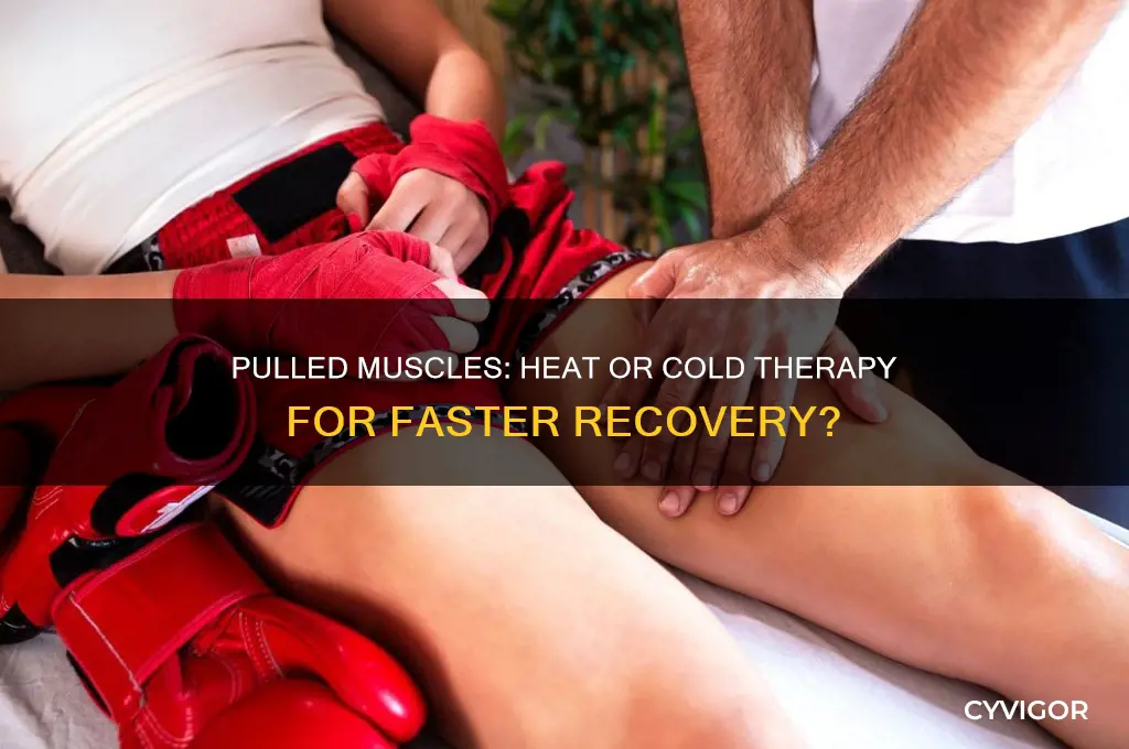 what is better for pulled muscles heat or cold