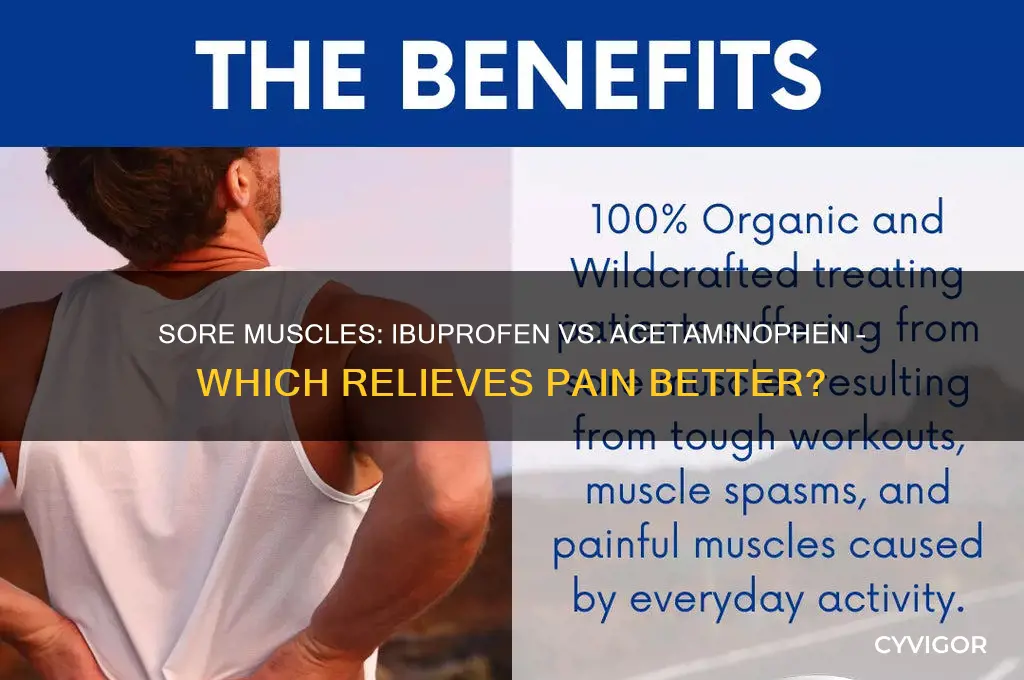 what is better for sore muscles ibuprofen or acetaminophen