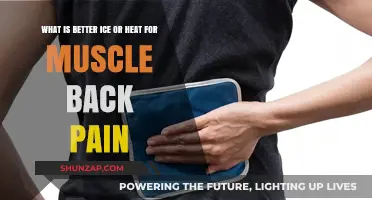 Ice vs. Heat: Which Therapy Relieves Muscle Back Pain Best?