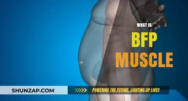 The Secret to BFP Muscle Building