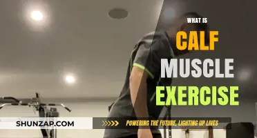 Strengthen Your Lower Legs: Effective Calf Muscle Exercises