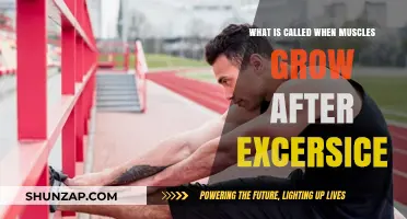 Muscle Growth Post-Workout: Understanding Hypertrophy and Recovery