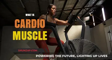Understanding Cardio Muscle: A Unique Hybrid