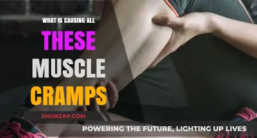 Unraveling the Mystery: What's Triggering Your Persistent Muscle Cramps?