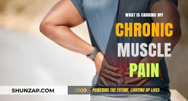 Unraveling Chronic Muscle Pain: Causes, Triggers, and Relief Strategies
