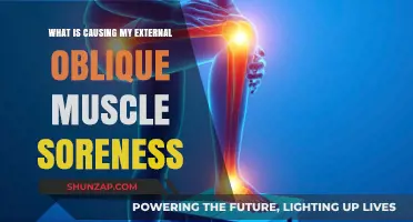 Understanding External Oblique Muscle Soreness: Causes and Remedies