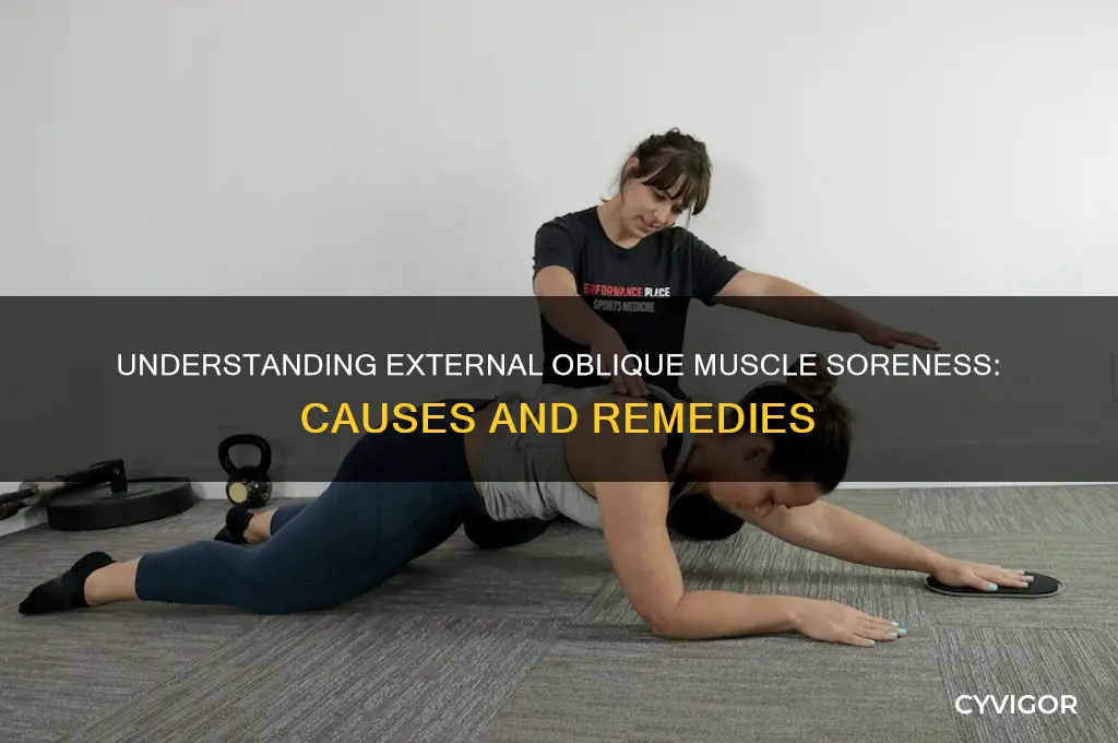 what is causing my external oblique muscle soreness