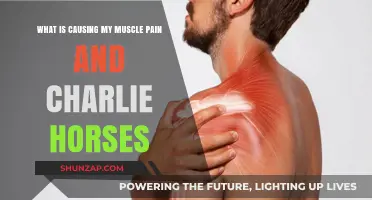 Unraveling Muscle Pain and Charlie Horses: Causes and Solutions