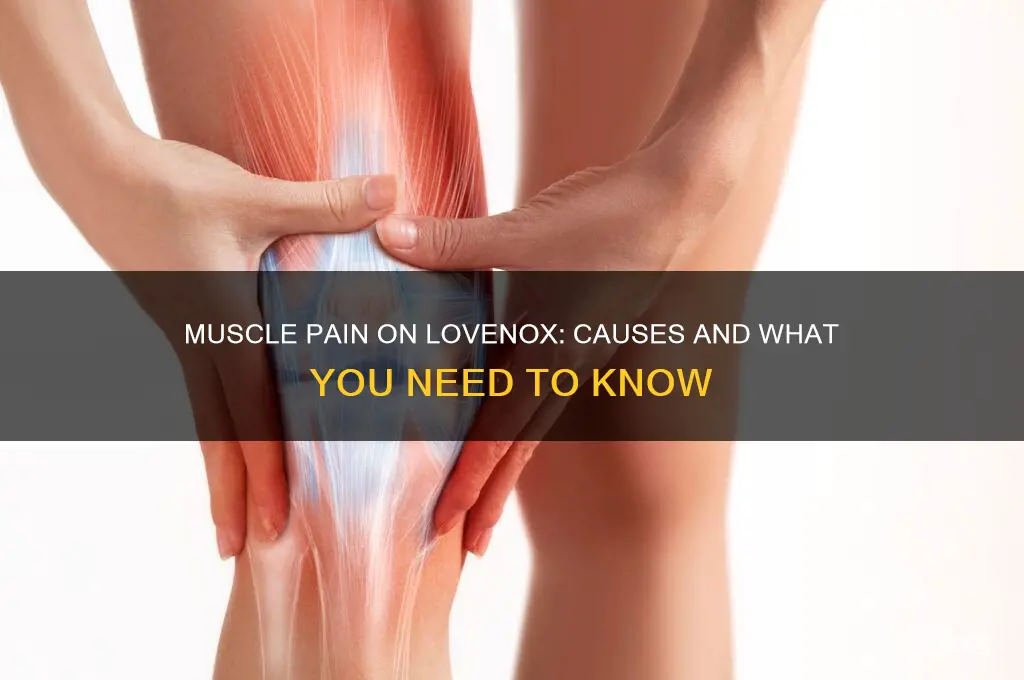what is causing my pain in muscles while on lovenox
