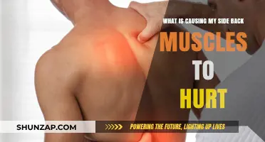 Why Your Side Back Muscles Hurt: Common Causes and Solutions