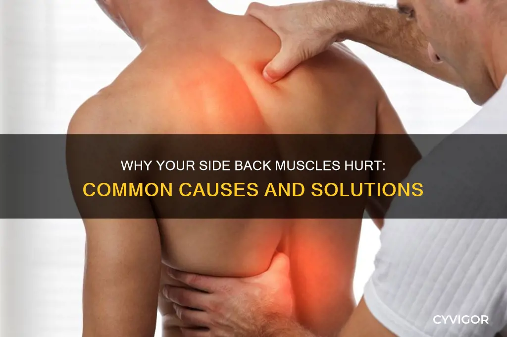 what is causing my side back muscles to hurt