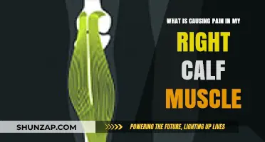 Understanding Right Calf Muscle Pain: Causes, Symptoms, and Relief Tips
