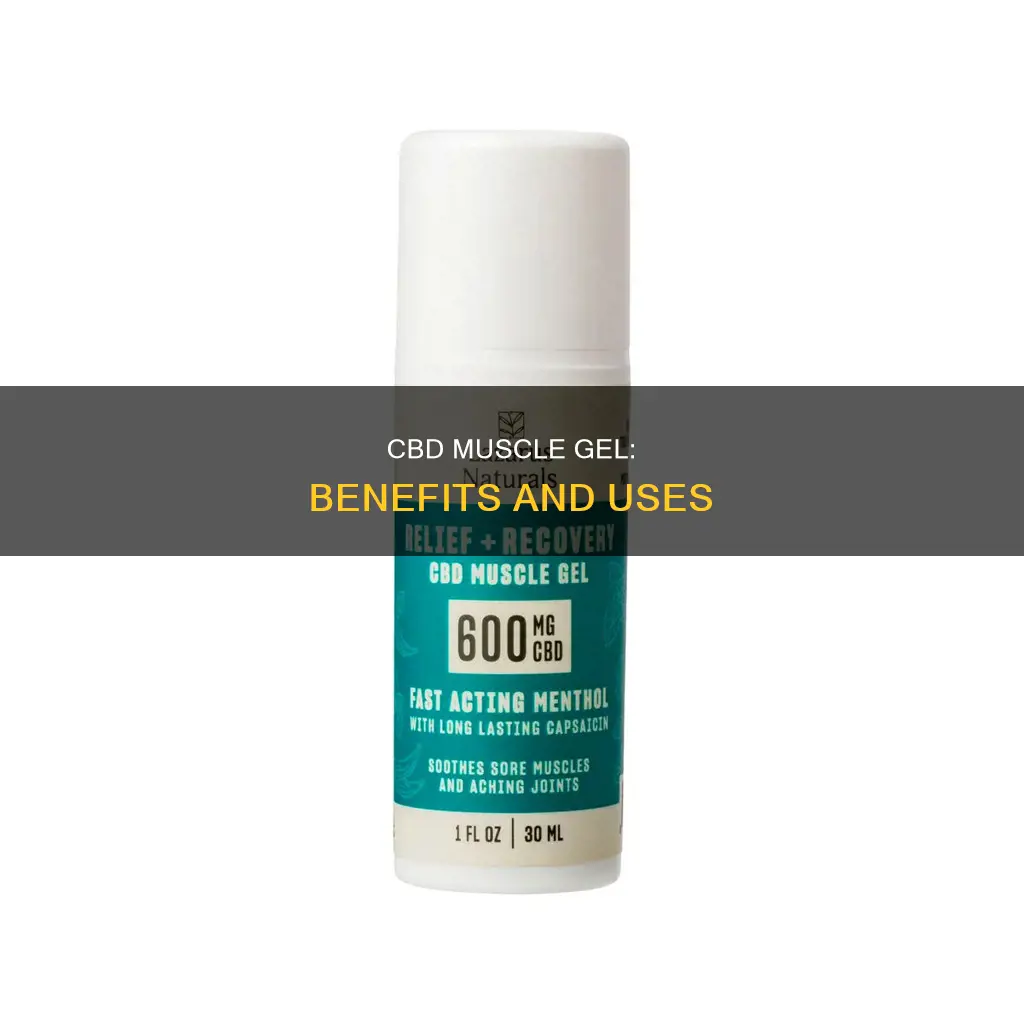 what is cbd muscle gel