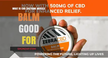 Discover the Benefits of CBD Soothing Muscle Balm for Pain Relief
